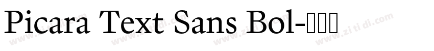 Picara Text Sans Bol字体转换 Picara Text Sans Bol字体转换